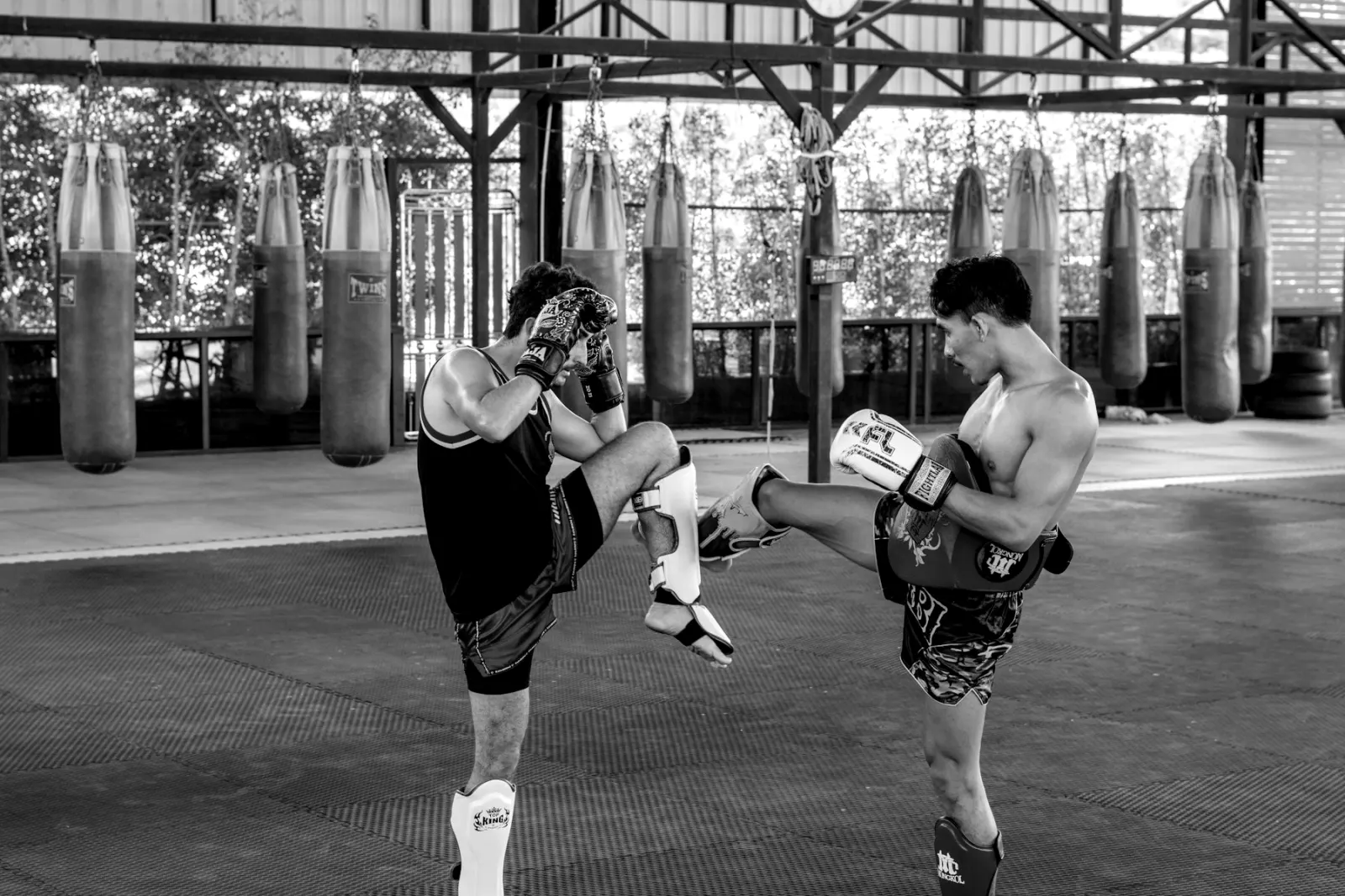 Ringde klinç ve diz çalışması yapan iki Muay Thai sporcusu